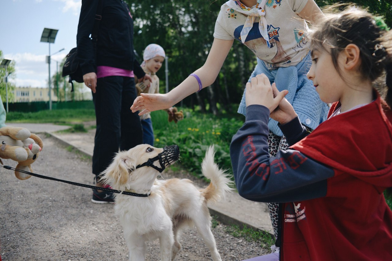 Выход в Лианозовский питомник (Крылья Бибирево)